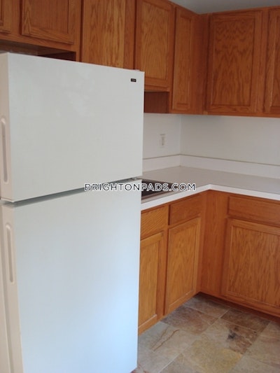 Brighton Apartment for rent 1 Bedroom 1 Bath Boston - $2,760 No Fee