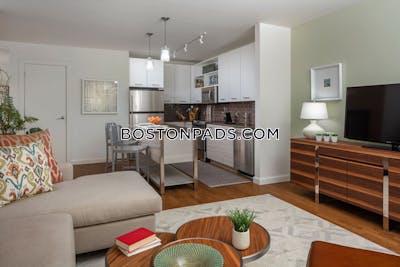 Downtown Apartment for rent 1 Bedroom 1 Bath Boston - $3,406 No Fee
